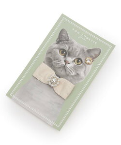 pom ponette junior rW[{u[` i~IC t@bVG ̑̃t@bVG u[ zCg sN