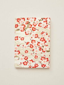  FT / ~ A~iRNV [ 蒠E lCr[ zCg