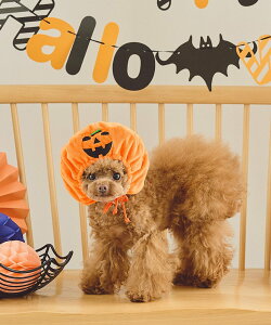 ROPE' PICNIC PASSAGE yDOGznEBڂ ysNjbN ybgpi ybgEFAEybg IW