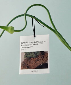 studio CLIP OHSCENT TVF X^fBINbv CeAEG fBt[U[EEA}ICELh