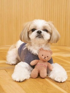 GELATO PIQUE CAT&DOG yCAT&DOGzxAgC WF[gsP ybgpi ̑̃ybgpi