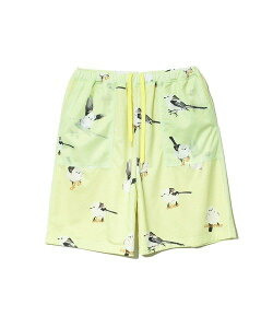 go slow caravan �K���K���C�[�W�[�n�[�t�p���c (WOMENS) �S�[�X���[�L�����o�� �p���c ���̑��̃p���c �u���b�N �O���[���y���������z