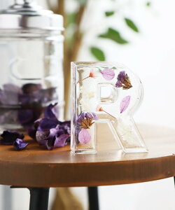 studio CLIP CjVIuWF X^fBINbv CeAEG IuWFEuEA[g sN O[