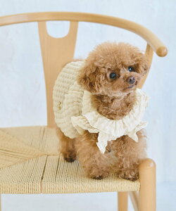 ySALE^30%OFFzROPE' PICNIC PASSAGE yDOGzۂۂMU[s[X ysNjbN ybgpi ybgEFAEybg zCg u[