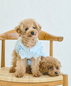 ySALE^30%OFFzROPE' PICNIC PASSAGE yDOGzۂۂMU[s[X ysNjbN ybgpi ybgEFAEybg zCg u[