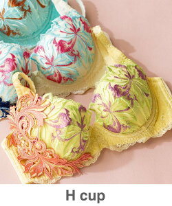 fran de lingerie GRACE ist Rio �O���[�X�C�X�g���I �R�[�f�B�l�[�g�u���W���[ H65-H85�J�b�v �t�����f�����W�F���[ �C���i�[�E���[���E�F�A �u���W���[ �C�G���[ �u���[ �z���C�g�y���������z