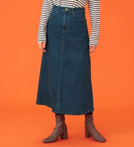 SOMETHING SOMETHING BODYFIRE fjXJ[gygz GhECIC[ XJ[g ̑̃XJ[g u[yz