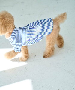 ySALE^30%OFFzROPE' PICNIC PASSAGE yDOGzhJSXgCvVc ysNjbN ybgpi ybgEFAEybg sN u[