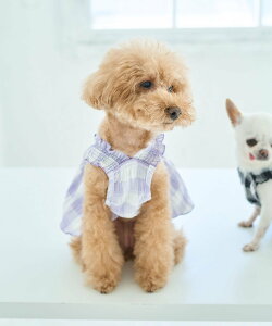 ySALE^30%OFFzROPE' PICNIC PASSAGE yDOGzMK`FbNs[X ysNjbN ybgpi ybgEFAEybg ubN O[