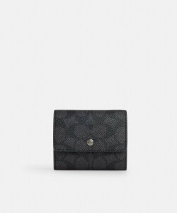 �R�[�`(COACH)