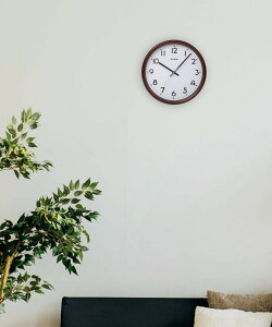 BACKYARD FAMILY MAG dgǊ|vge [ CeAEG v uE x[W