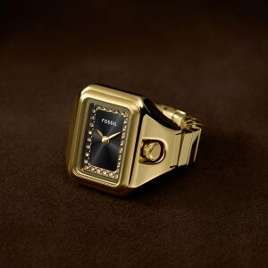 FOSSIL tHbV rv fB[X AiO XeX ES5447 tHbV ANZT[Erv rvyz