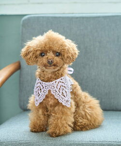 ySALE^20%OFFzROPE' PICNIC PASSAGE yDOGz[X ysNjbN ybgpi ybgEFAEybg p[v zCg