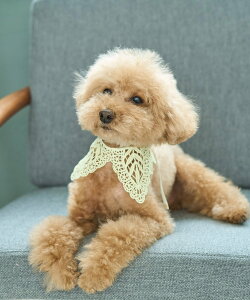 ySALE^20%OFFzROPE' PICNIC PASSAGE yDOGz[X ysNjbN ybgpi ybgEFAEybg p[v zCg