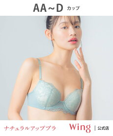 Wing ウイング ブラジャー 【ナチュラルアップブラ】 ウイング インナー・ルームウェア ブラジャー