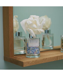 collex \t[fBt[U[ 100ml RbNX CeAEG fBt[U[EEA}ICELh