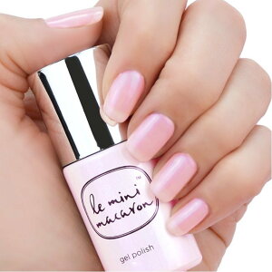 le mini macaron �W�F���l�C�� ���E�~�j�@�}�J���� �l�C�� �}�j�L���A�E�l�C���|���b�V�� �s���N �x�[�W�� �O���[�� �u���[