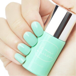 le mini macaron �W�F���l�C�� ���E�~�j�@�}�J���� �l�C�� �}�j�L���A�E�l�C���|���b�V�� �s���N �x�[�W�� �O���[�� �u���[