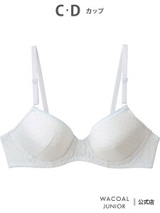 R[_LbY R[ WjA 3/4Jbvu ySTEP3z C[ R[ LbYEWjA Ci[E[EFA uW[ O[ IW zCgyz