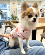 【SALE／20%OFF】yield ペットウェア リードフック付き いちご柄 フリース イールド ペット用品 ペットウ…