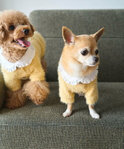 ySALE^20%OFFzROPE' PICNIC PASSAGE yDOGzrbNJ[J[fBK ysNjbN ybgpi ybgEFAEybg zCg O[