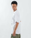 SIDEWAY STANCE サイドウェイスタンス ストリートエレファント 半袖Tシャツ