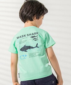 WASK 【接触冷感】WASK SHARK 天竺Tシャツ(100~160cm) ベベ オンライン ストア トップス カットソー・Tシャツ ブルー グリーン【送料無料】
