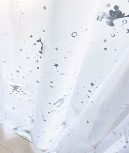 BACKYARD FAMILY LN^[ [XJ[e 2g [ CeAEG J[ybgEOE}bgyz