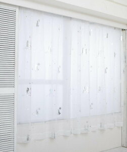 BACKYARD FAMILY LN^[ [XJ[e 2g [ CeAEG J[ybgEOE}bgyz