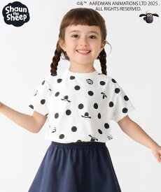 SHIPS Colors SHIPS Colors:80~130cm / ひつじのショーン ドット プリント Tシャツ◇ シップス トップス カットソー・Tシャツ ホワイト グレー