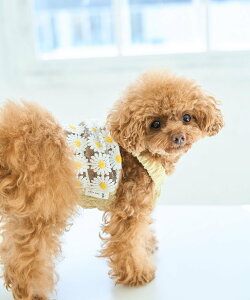 ySALE^30%OFFzROPE' PICNIC PASSAGE yDOGzt[L~\[ ysNjbN ybgpi ybgEFAEybg u[ zCg