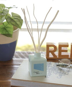 BAYFLOW [fjC[W]Copain BleufBt[U[100ml xCt[ CeAEG fBt[U[EEA}ICELh