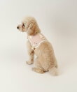 小型犬用ハーネス 骨型