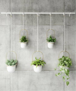 Umbra gt[ 5Jbv [W szCg×uXt AgXNGA CeAEG [piEIEbN zCgyz