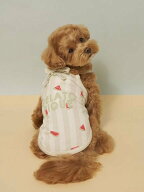 【SALE／30%OFF】GELATO PIQUE CAT&DOG 【CAT&DOG】【接触冷感】 ストライプ柄Coolingプルオーバー ジェ…