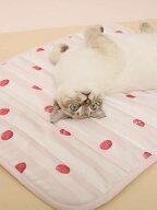 【SALE／30%OFF】GELATO PIQUE CAT&DOG 【CAT&DOG】【接触冷感】 Coolingマット ジェラートピケ ペット用…