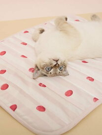 【SALE／30%OFF】GELATO PIQUE CAT&DOG 【CAT&DOG】【接触冷感】 Coolingマット ジェラートピケ ペット用品 ペット用ベッド・マット・クッション