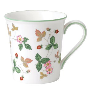 WEDGWOOD [] EFbWEbh Ch Xgx[ JWA }O O[ EFbWEbh HEELb`pi OXE}OJbvE^u[ O[yz