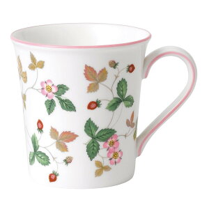 WEDGWOOD [] EFbWEbh Ch Xgx[ JWA }O sN EFbWEbh HEELb`pi OXE}OJbvE^u[ sNyz