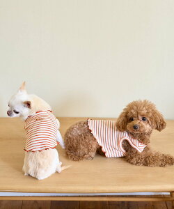 ySALE^30%OFFzROPE' PICNIC PASSAGE yDOGz}`E{[_[gbvX/NR[f ysNjbN ybgpi ybgEFAEybg sN IW