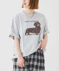 B.C STOCK DOG&CAT ASOORTED Tシャツ ベーセーストック トップス カットソー・Tシャツ ホワイト