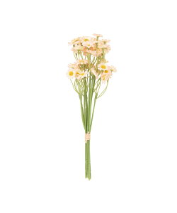 Francfranc �A�[�g�t�����[ �v�`�f�C�W�[ �o���h�� ���C�g�s���N �t�����t���� �C���e���A�E�����G�� �I�u�W�F�E�u���E�A�[�g �s���N