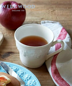 WEDGWOOD [] EFbWEbh tFXeBreB }O AC{[ EFbWEbh HEELb`pi OXE}OJbvE^u[ zCg