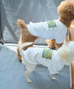 ySALE^20%OFFzROPE' PICNIC PASSAGE yDOGzRENU/PHOTO&LOGOTVc/NR[f ysNjbN ybgpi ybgEFAEybg zCg