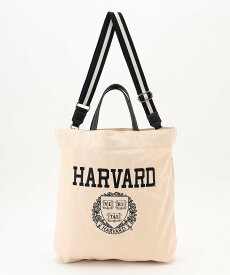 【SALE／20%OFF】ANY カレッジコラボキャンバスバッグ エニィ バッグ ショルダーバッグ レッド ネイビー ブラック【送料無料】