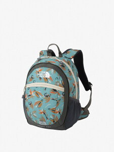 �ySALE�^30%OFF�zTHE NORTH FACE �y�����z�X���[���f�C(�L�b�Y) �U�E�m�[�X�E�t�F�C�X �o�b�O �����b�N�E�o�b�N�p�b�N�y���������z