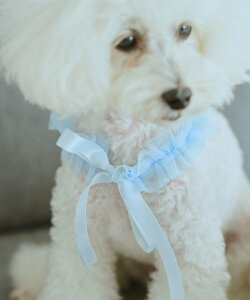 ROPE' PICNIC PASSAGE �yDOG�z�`���[���X�^�C ���y�s�N�j�b�N �y�b�g�p�i �y�b�g�E�F�A�E�y�b�g�� �I�����W