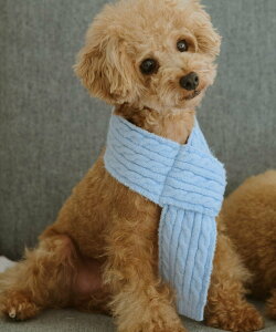 ROPE' PICNIC PASSAGE yDOGzP[u҂݃jbg}t[ ysNjbN ybgpi ybgEFAEybg bh O[