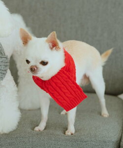 ROPE' PICNIC PASSAGE yDOGzP[u҂݃jbg}t[ ysNjbN ybgpi ybgEFAEybg bh O[