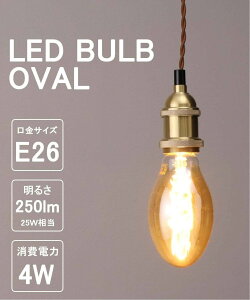 JOURNAL STANDARD FURNITURE LED SWAN BULB VF OVAL LED�d�� �W���[�i���X�^���_�[�h�t�@�j�`���[ �C���e���A�E�����G�� ���C�g�E�Ɩ����y���������z